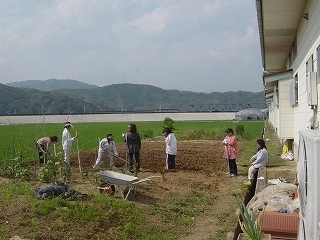 畑のうね上げをしました