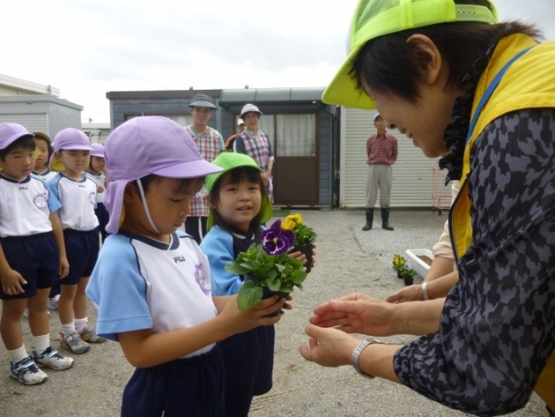 「パンジーの花」が園庭をかわいく飾ってくれています。