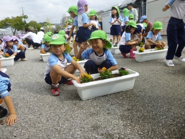 「パンジーの花」が園庭をかわいく飾ってくれています。